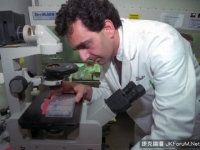30公分不是夢！　美科學家研發「種陰莖」技術