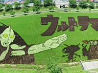 日本青森県田舎館村水田風景：在田�種出來的傑出巨幅畫作