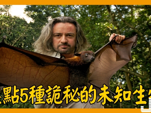 盤點5種詭秘的未知生物，第3種已證實一定存在
