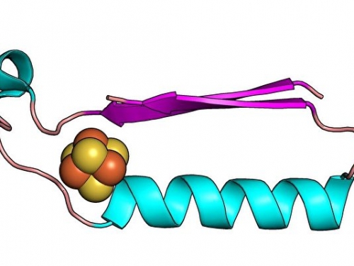 新研究找到了「最基礎的生命模塊」