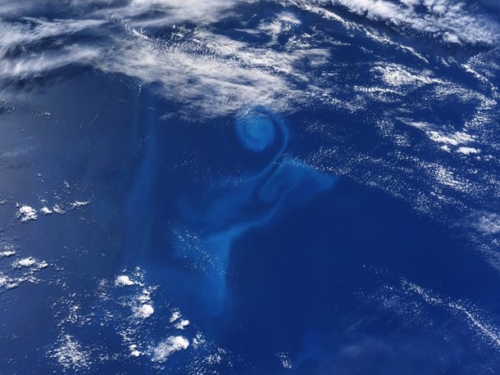 太空俯瞰南太平洋出現神秘漩渦 NASA太空人驚呼