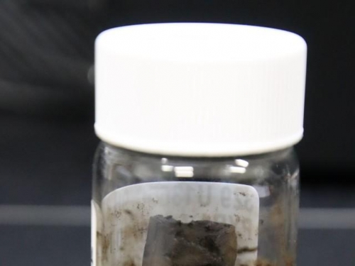 科學家從海床中發現一億年歷史微生物可能是地球已知最古老生物