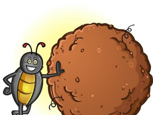 為什麼進化讓動物的便便都是臭的？科學家：香了就會出事