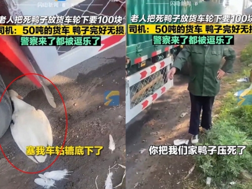 碰瓷新招？大媽丟死鴨到輪下索賠償 貨車司機「傻眼了」