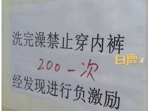 飼養員洗完澡「禁穿個人內褲」…違者開罰876元！他怒離職 養豬場回應了