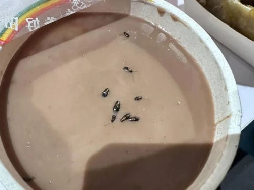 八強過奶？她的早餐店奶茶驚見「漂浮8小強」 網：全家都在裡面了