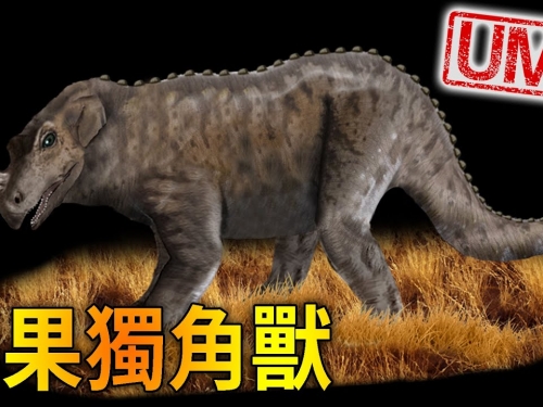 【UMA檔案】「剛果獨角獸」-艾梅拉恩圖卡，倖存至今的角龍類恐龍?!Emela Ntouka