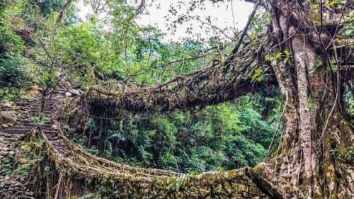 世界最奇怪的橋：不花一分一毛建成，用了300多年越用越牢固