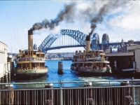 體驗全球10大最別具一格的交通工具