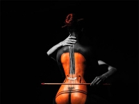 超精緻大提琴藝術照！　仔細一看...竟是「火辣翹臀」