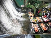 世界上最新奇刺激的7家餐廳 網友：借錢也要去！