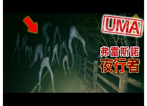 【UMA檔案】弗雷斯諾夜行者-美國加州出現的詭異生物，惡作劇或是外星人降臨?