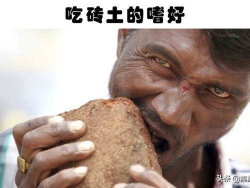 獨特的嗜好：在這世界上，擁有非比尋常的嗜好的7個人