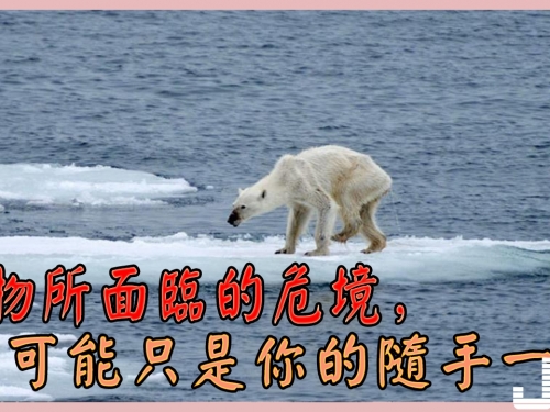 動物所面臨的危境，可能只是你的隨手一扔 它們卻只能以死面對