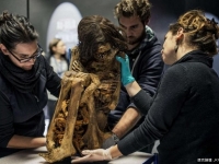 法國展奇特木乃伊　蜷縮身體保存千年