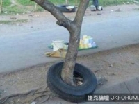 這16張照片會讓你想到頭爆也想不到他們是如何辦到的！