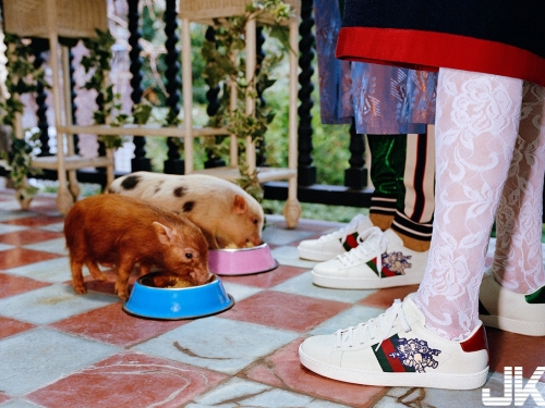 Gucci迎農曆新年推出超可愛「豬豬」系列！找來超萌小豬仔拍宣傳照，粉絲融化！