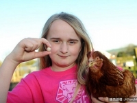 最小雞蛋紀錄更新！　僅2.1公分