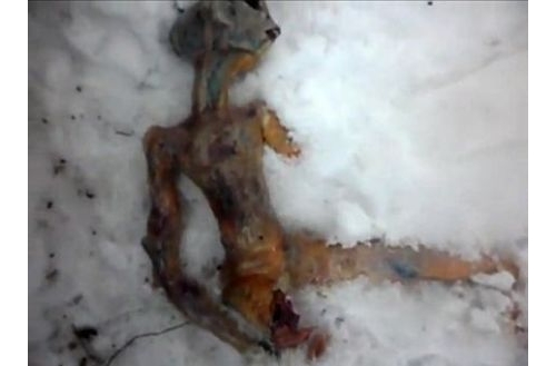 俄羅斯雪中發現「外星人」遺骸