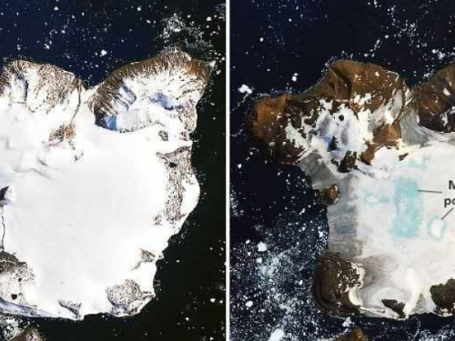 熱浪侵襲！南極洲高溫破紀錄　短短9天融化20％積雪