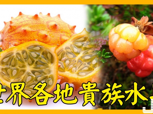 這些水果吃過5種以上是土豪，吃過10種以上就是貴族！Part 2
