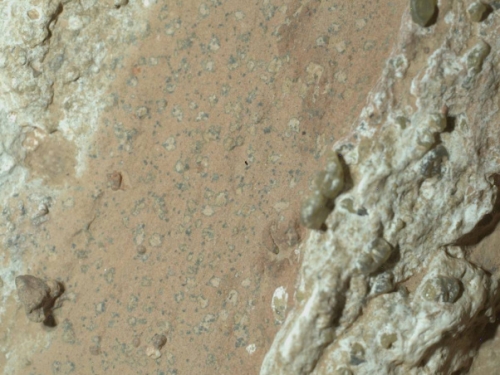 火星真的有生命？NASA發現「豹紋岩石」 疑有古代生物痕跡