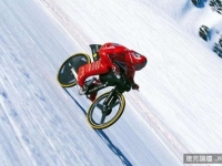 單車極速飆223Km！跑車看了都顫抖(嗚