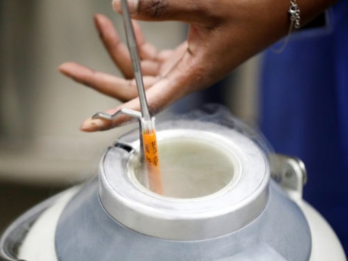 治療後與常人無異 紐西蘭開全球首間「HIV陽性精子銀行」