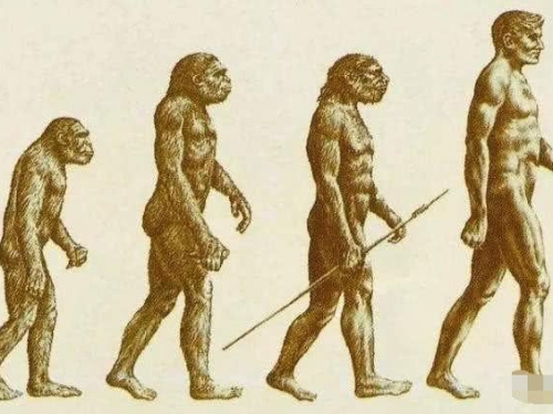 100萬年後的人類多強大？科學家給出草圖，人類不再害怕死亡