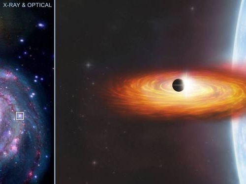 距銀河系2800萬光年！ NASA曝光「首顆系外行星」跡象