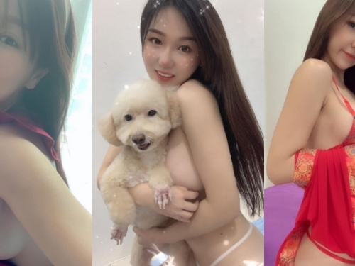 羨慕狗狗！可愛貴賓「緊貼巨乳正妹」　網友：放開狗衝著我來就好