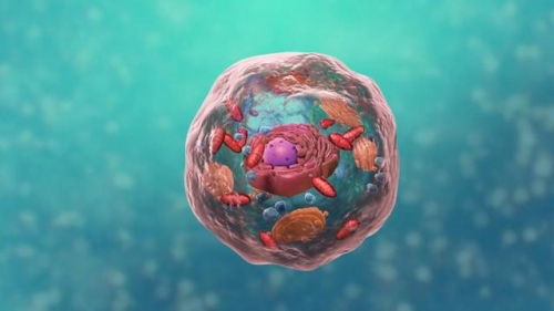 外星生命是矽基的嗎？地球對矽基生命來說可能如"地獄星球"一般