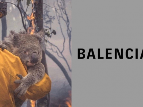 全數捐出！響應澳洲火災BALENCIAGA推出無尾熊帽T，邀請你加入助災活動