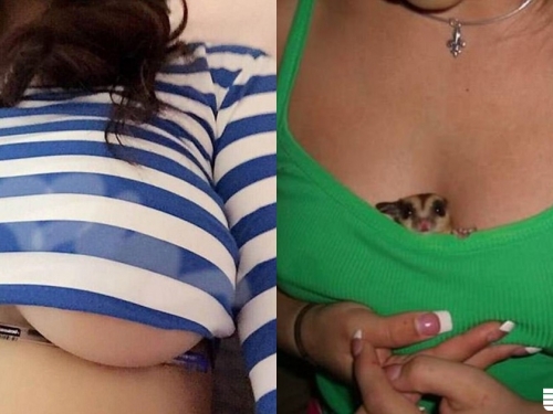 死的活得都能夾！東西方奶夾大比拼「最強豪乳」什麼都能放進去，冠軍果然就是她！