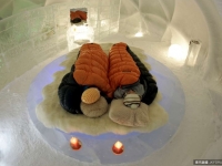 從鹽屋到冰屋 特色旅館讓人好想住