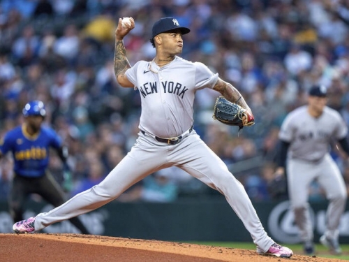 MLB》動TJ後勇奪新人王！ 洋基火球男締罕見紀錄成多明尼加第一人