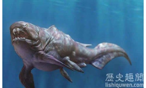 最古老的性器官:3.85億年前遠古裝甲魚化石