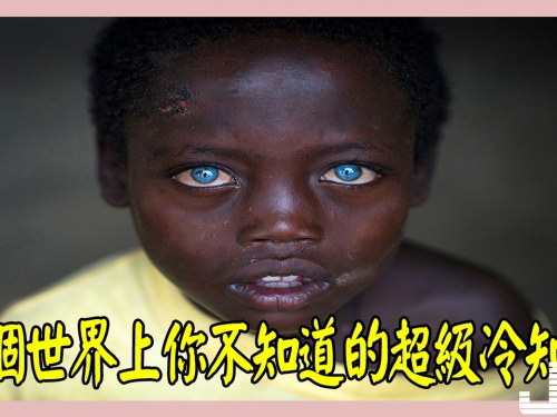 10個世界上你不知道的超級冷知識，用木乃伊做顏料