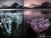 被冰湖凍住的泡泡，身分原來是....