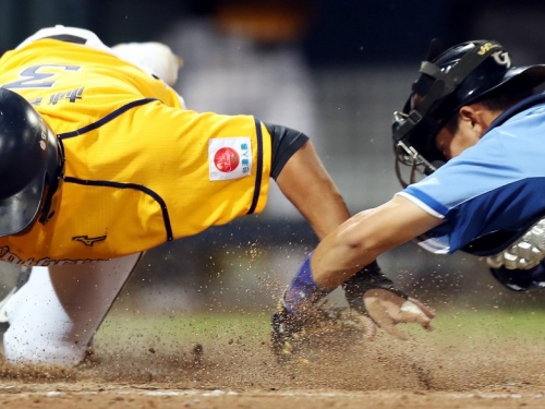 中職／太拚！林智勝撲本壘斷兩指