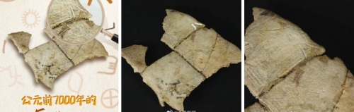比甲骨文還早5000年 新石器時代龜甲竟刻「神祕天書」