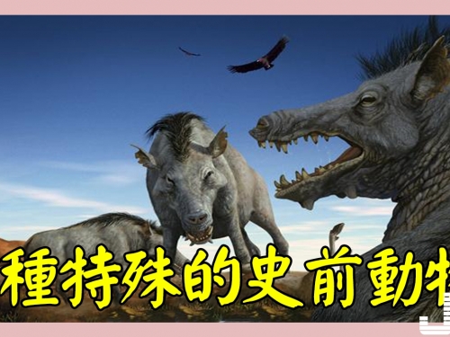 5種特殊的史前動物，第3種為最原始鳥類，分佈中國