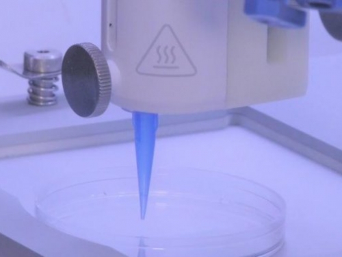 科學家利用 3D 列印製造帶有血管的人造皮膚