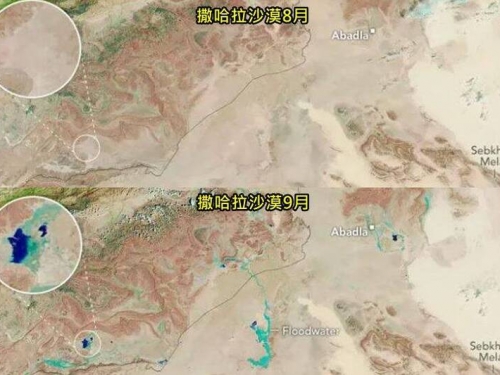 撒哈拉變藍了！50年一遇罕見暴雨後 沙漠波光粼粼現狀曝
