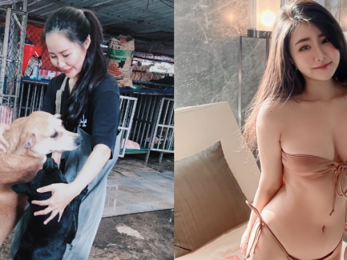 人美心善！台越混血正妹動物志工「Mavis」顏值和身材都封頂