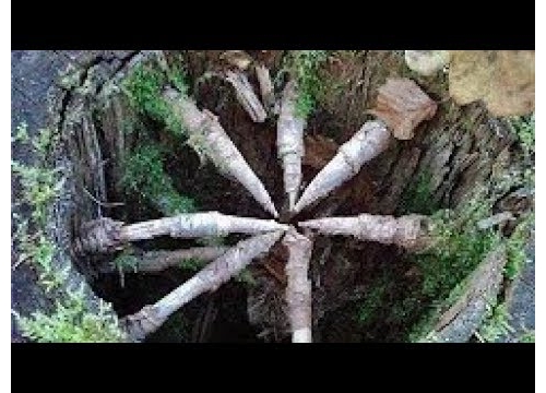 6個世界最危險的隧道