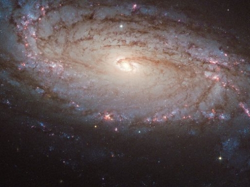 孕育黑洞及中子星的來源：超新星爆炸