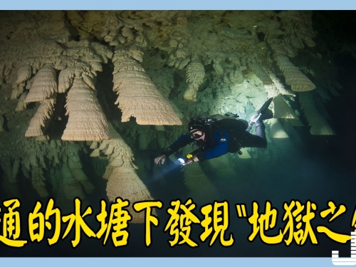 一個看似普通的水塘，潛到30米下，發現了神奇的“地獄之鐘”