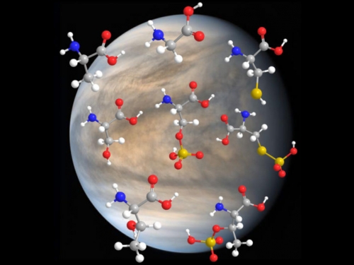 20 種胺基酸能耐金星硫酸成分，某些生命可能在金星雲層活得很好