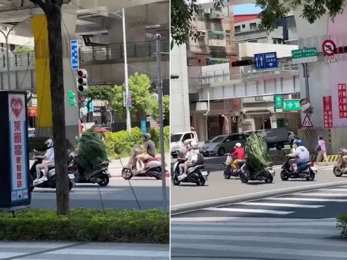走路草進化「騎車草」？ 新北路上出現「草堆」御風而馳